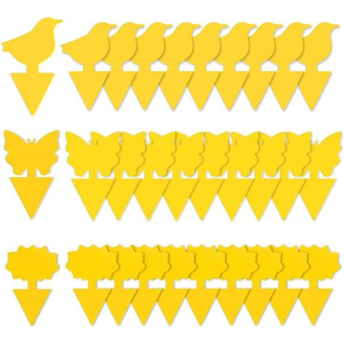 60pcs Plug-in Pièges à Mouches Plaques Pièges à Insectes, Pièges Engluées Autocollants Colle Double-Face Étanche Jaunes pour Plante Fleur Fruits Protection