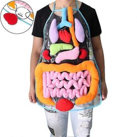 Tablier D'anatomie, Sensibilisation Aux Organes Du Corps Humain, Informations Éducatives, Jouet Pour Enfants