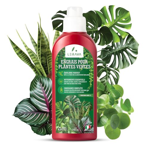 Kalanka-Engrais Plantes Vertes Intérieur (700ml) - Engrais Liquide Universel - Nourrit Et Renforce Les Plantes Vertes D¿Intérieur - Croissance Et Vitalité Optimales - Idéal Monstera, Ficus, Pothos