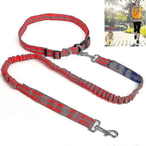 Laisse Pour Chien Nylon Élastique Laisse De Course Pour Animaux De Compagnie Promenade Laisse Pour Chien Laisses Pour Animaux De Compagnie