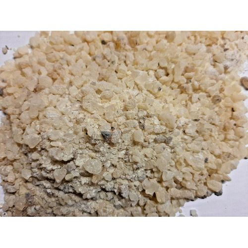 encens dammar 100 grammes