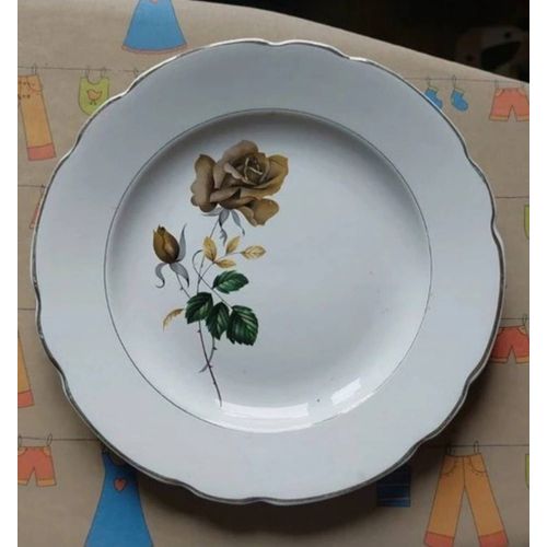 Plat De Service Porcelaine Digoin