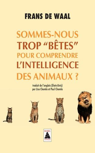 Sommes-Nous Trop "Bêtes" Pour Comprendre L'intelligence Des Animaux ?