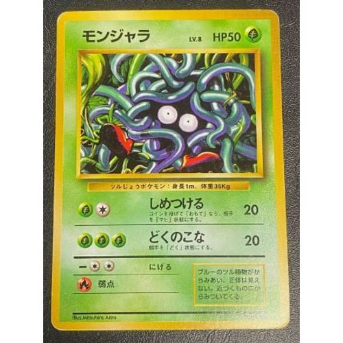 Pokemon Saquedeneu No. 114 Set De Base Wizard Jap