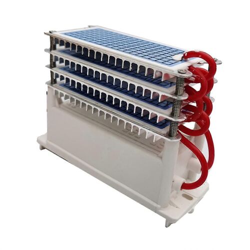 Générateur d'ozone 40g AC220V Plaque d'ozone en céramique intégrée