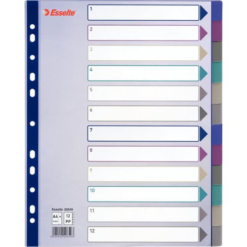 Eryi-Esselte Intercalaires, 12 Onglets, A4, Plastique Résistant, Multicolore, 20649