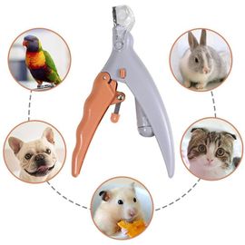 Coupe-Ongles Led Pour Animaux De Compagnie Avec Lumières, Ciseaux De Nettoyage Pour Chat Et Chien, Coupe-Ongles Beauté Et Lumineux