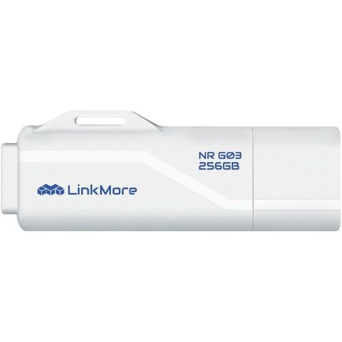 KALANKA-NR G03 Clé USB 3.2 Gen2 256 Go, Vitesse de Lecture jusqu'à 100 Mo/s