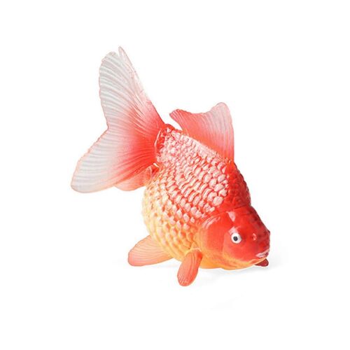 Modèles De Poissons Simulés Modèles De Poissons-Bars Réalistes Pour La Décoration Intérieure Et À Des Fins Éducatives-09