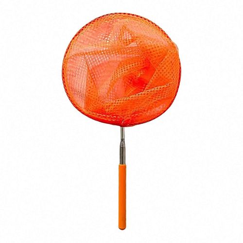 Filet à papillons pour enfants - Filet télescopique portatif pour attraper les insectes, idéal pour l'exploration en plein air et l'étude de la nature-Orange