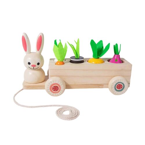 Ensemble de jeu en bois avec lapin et carotte pour enfants, favorisant l'apprentissage interactif et le lien parent-enfant.-fruit