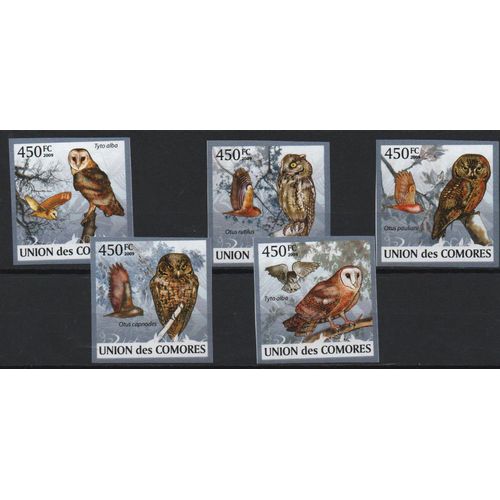 Comores Timbres  Animaux : Les Hiboux 2009 On Dentelés