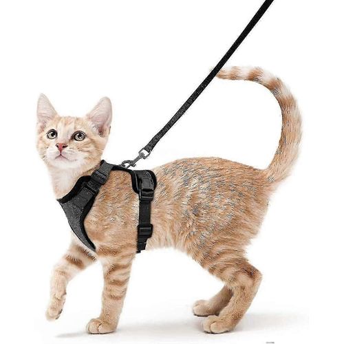 Harnais Et Laisse Pour Chat Pour La Promenade, Harnais Gilet Souple Et Réglable Anti-Fuite Pour Chat, Veste Respirante Facile À Contrôler, Noir, Taille Xs