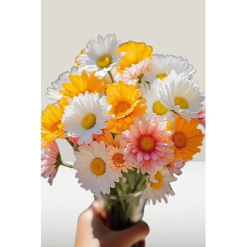 Lot De 700 Graines À Semer - Le Grenier D'abondance - Fan De Marguerites - 7 Sachets Individuels