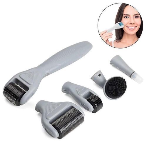 Promotion D'hiver,6 En 1 Microneedles Derma Roller Pour Les Soins Du Visage Avec Des Micro-Aiguilles,Micro-Aiguilles En Acier Inoxydable Pour Les Vergetures De Grossesse,Cheveux Los