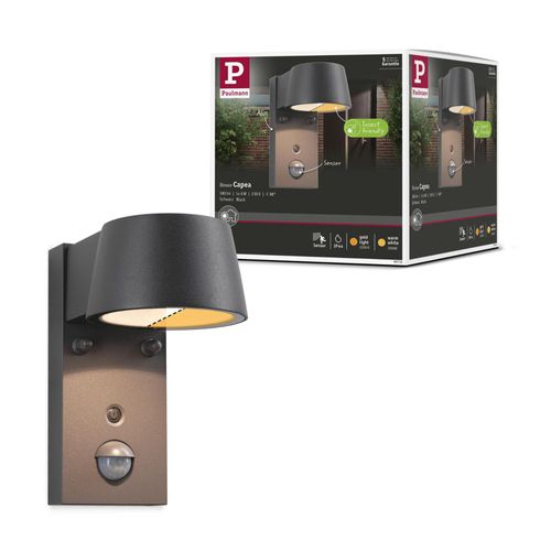 Ext 230v Appl Capea 6w 580lm 2200-3000k Détect Mouvement Ip44 Alu Anth