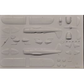 Maquette Rare Plane Au 1/72 En Vacuformé Ryan St/Pt Trainers