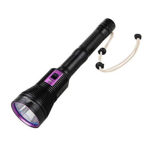 Lampe De Poche De Plongée À Led D'extérieur, Éclairage De Plongée, Lampe De Poche Fp
