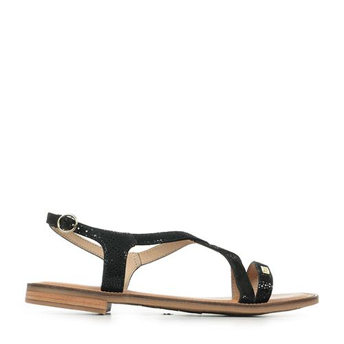 Les Tropéziennes Hastral