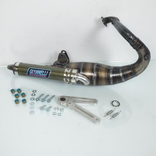 Pot D Échappement Giannelli Pour Scooter Peugeot 50 Vivacity 31609e Neuf