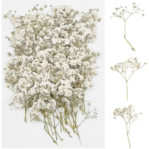 64 PCS Bricolage Fleurs Séchées Ensemble Feuilles Naturelles Pressées à Sec, Noir et Rouge Fleurs Pressées Séchées Fleurs Sechees Naturelles pour L'artisanat d'art de Bricolage, Style A