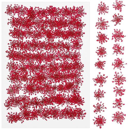 64 PCS Bricolage Fleurs Séchées Ensemble Feuilles Naturelles Pressées à Sec, Noir et Rouge Fleurs Pressées Séchées Fleurs Sechees Naturelles pour L'artisanat d'art de Bricolage, Style A