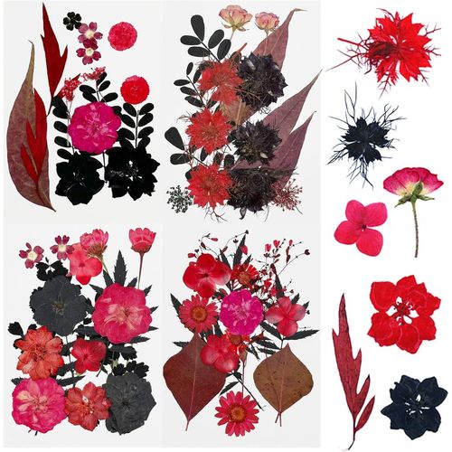 64 PCS Bricolage Fleurs Séchées Ensemble Feuilles Naturelles Pressées à Sec, Noir et Rouge Fleurs Pressées Séchées Fleurs Sechees Naturelles pour L'artisanat d'art de Bricolage, Style A