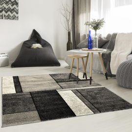 Tapis Salon Brillance 661-95 Gris 200x290 Oeko Tex® En Polypropylène Doux Et Soyeux