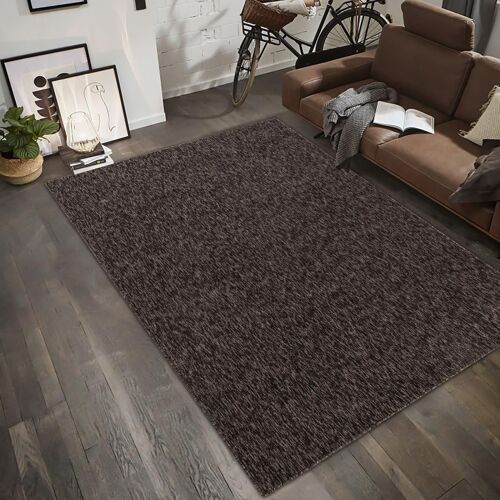 Tapis Salon 120x170 Sakrda Marron