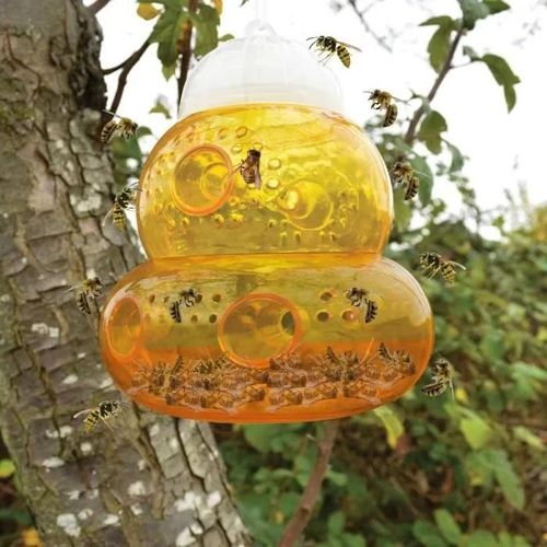 Piege a Guepes Exterieur Lot de 2 Piège à guêpes à Suspension Conception à 6 trous Plastique Anti Guepes Exterieur piege frelon