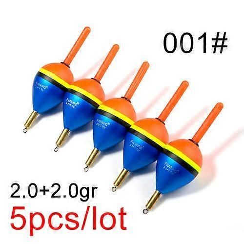 Ftk 5pcs/Set Pêche Float Bobbers 2g / 3g / 4g / 5g Slip Barguzinsky Sain Bouée Flotteur Pour La Pêche En Mer Carpe Accessoires De Matériel De Pêche
