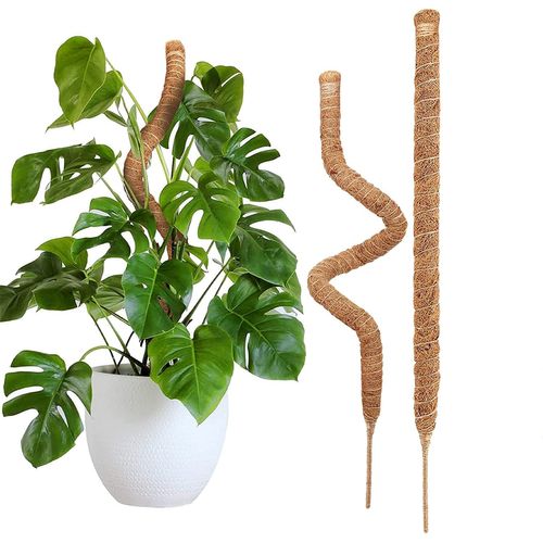 2Pc 120cm Tuteur Coco pour Plante Monstera Pliable Plantes Poteaux en Mousse Sphaigne Tuteurs pour Plante Grimpante pour Maison Jardin