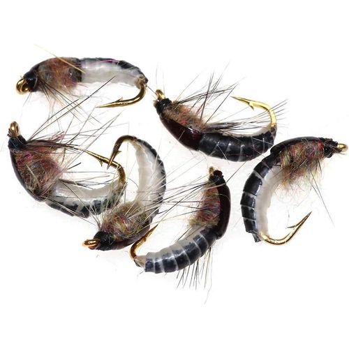 Leurres De Pêche À La Mouche Nymphes Humides Fabriqués À La Main - 6 Mouches Durables Et Réalistes Pour L'achigan, La Truite Et Plus Encore - Taille 12, Blanc Et Noir