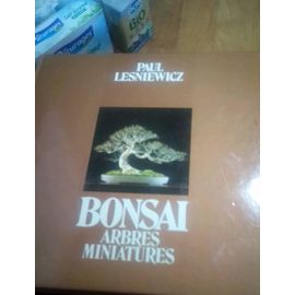 Bonsaï Arbres Miniature