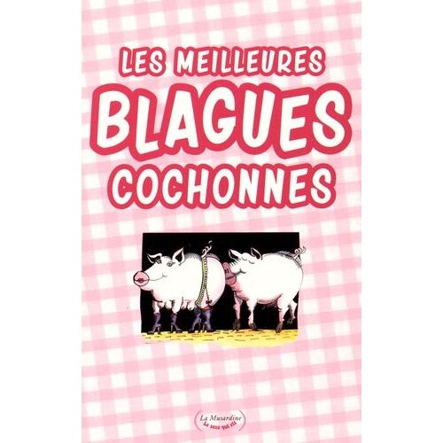 Les Meilleures Blagues Cochonnes