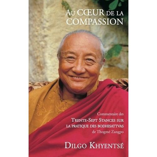 Au Coeur De La Compassion - Commentaire Des Trente-Sept Stances Sur La Pratique Des Bodhisattvas