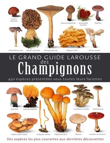 Le Grand Guide Larousse Des Champignons