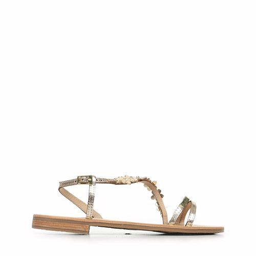 Les Tropéziennes By M Belarbi Hofella