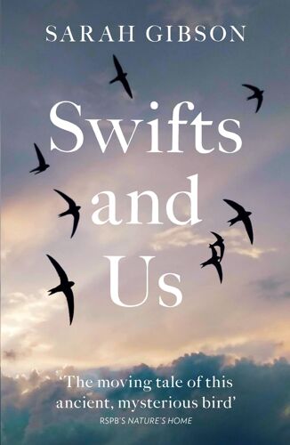 Swifts And Us