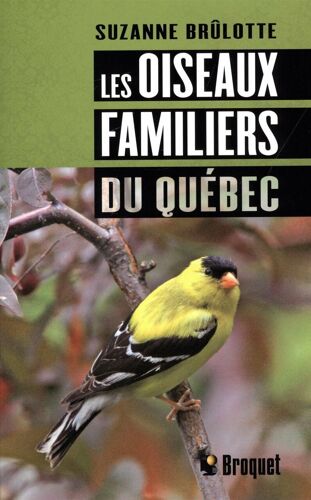 Les Oiseaux Familiers Du Quebec