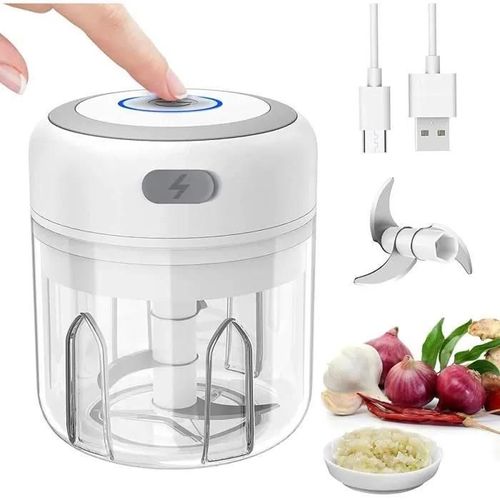 Mini Hachoir Electrique 250ml Petit Mixeur Presse Ail Hachoir, Multi-Hachoir Pour Viande, Légumes