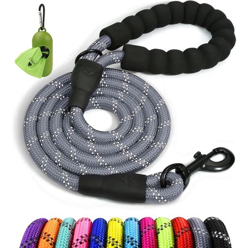 Teppc-Taglory Laisse Chien Corde, Laisse Pour Chien En Nylon Avec Poignée Rembourrée Douce Et Des Fils Réfléchissants, 180cm X 1.0cm, Gris