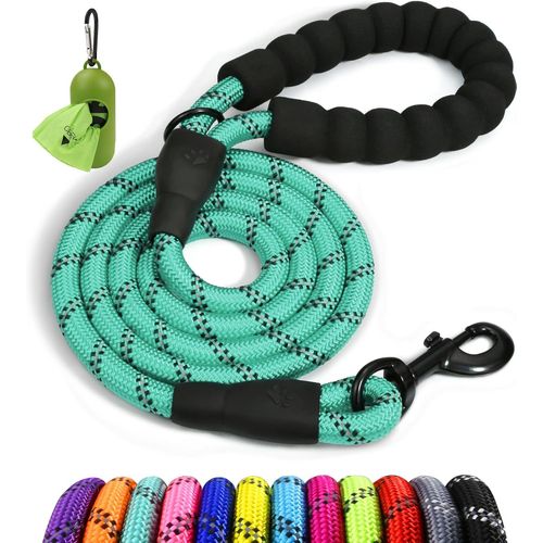 Teppc-Taglory Laisse Chien Corde, Laisse Pour Chien En Nylon Avec Poignée Rembourrée Douce Et Des Fils Réfléchissants, 120cm X 1.2cm, Turquoise