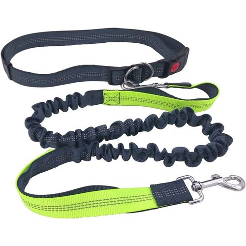 Laisse Chien Mains Libres Gris, Ceinture Ajustable Et Laisse Élastique Rétractable À Double Poignée, Laisse Chien Jogging Avec Coutures Réfléchissantes (Poignée Vert)