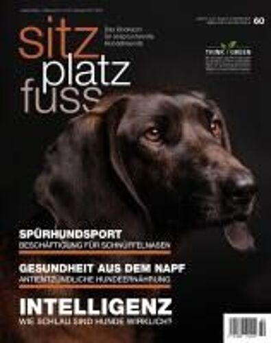 Sitzplatzfuss, Ausgabe 60