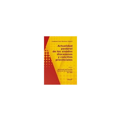 Actualidad Pastoral De Los Sínodos Diocesanos Y Concilios Provinciales