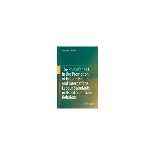 The Role Of The Eu In The Promotion Of Human Rights And International Labour Standards In Its External Trade Relations