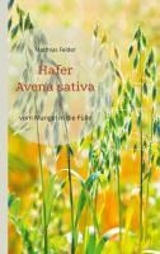 Hafer - Avena Sativa