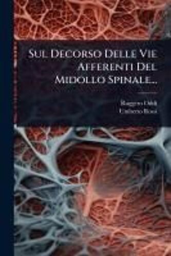 Sul Decorso Delle Vie Afferenti Del Midollo Spinale...