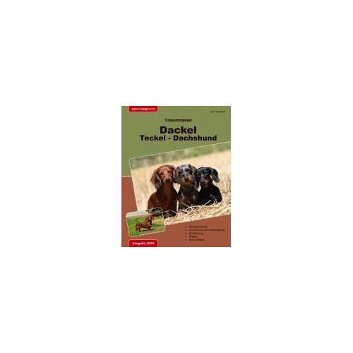 Traumrasse: Dackel Teckel Dachshund